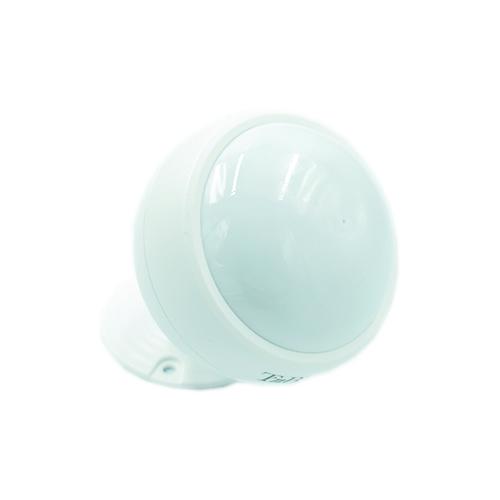 Belaidis judesio detektorius