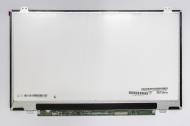 Matrica LP140WH8-TLD1  matte